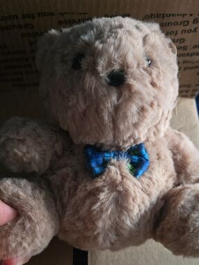 American Greetings Teddybear